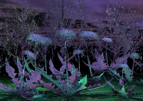 Dark Flowers