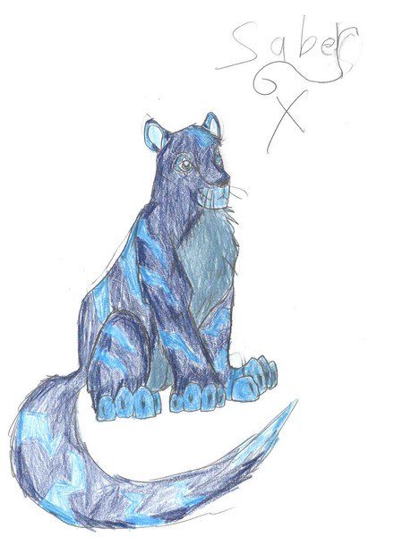 Saber X -- My Electric Kougra