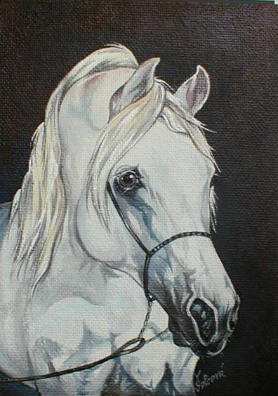Handpainted portrait of horse