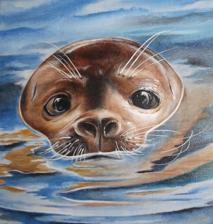 seal