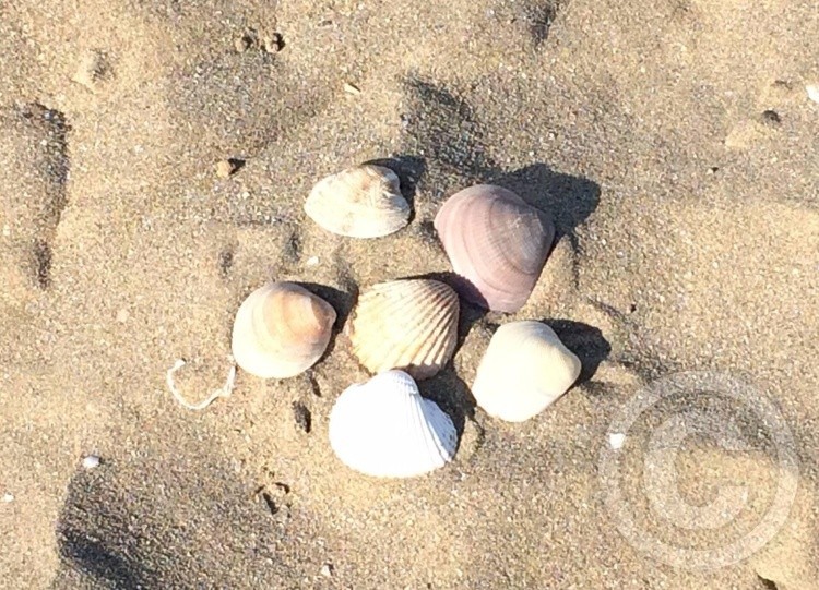 Sand 