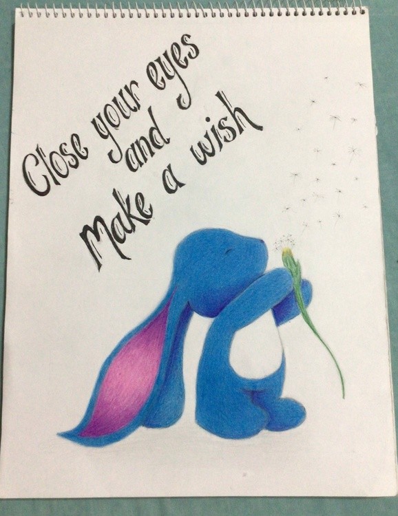 Make a Wish