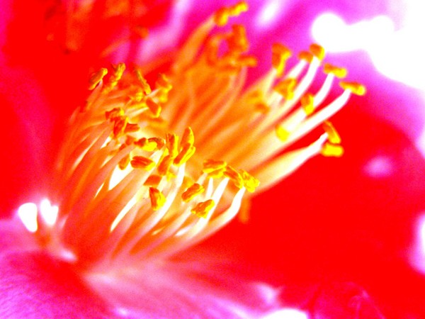 Glowing