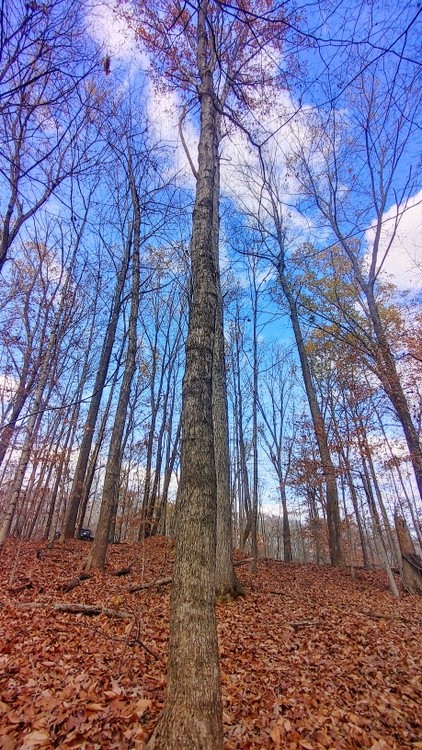 20241117 135949 HDR