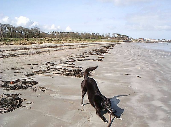 Don't you love a crowded beach !!