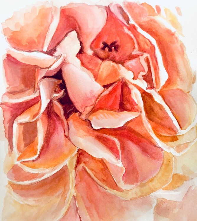 Watercolor “spring rose”