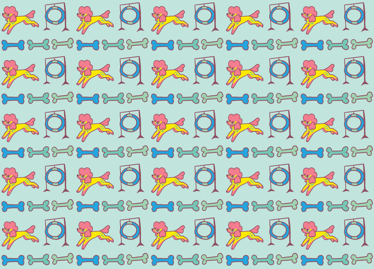 Poodle Pattern Agility