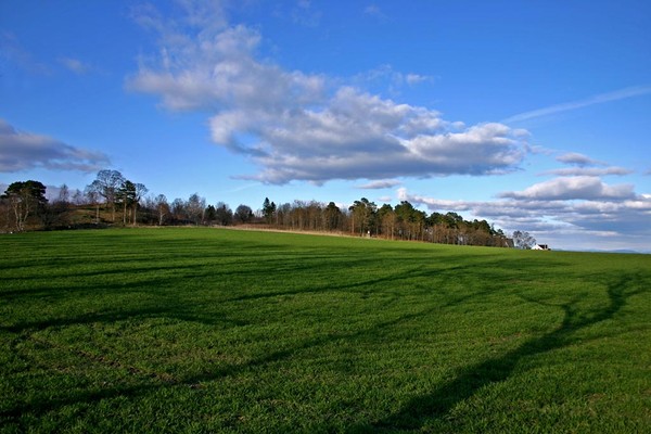 Shadows and blue sky