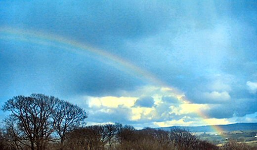 rainbow wishes