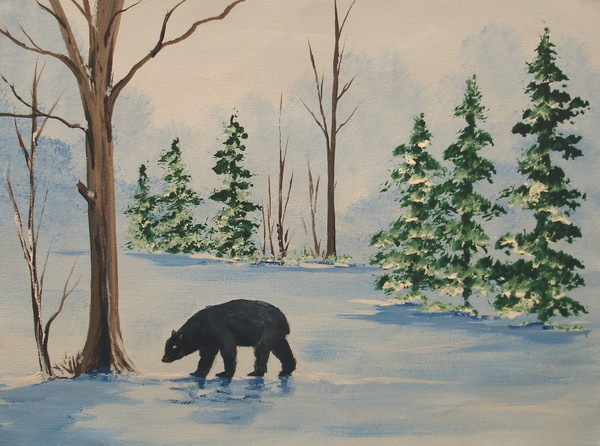 Bear in the Woods