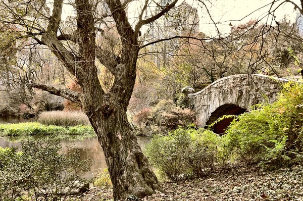 Central Park Stone Bridge
