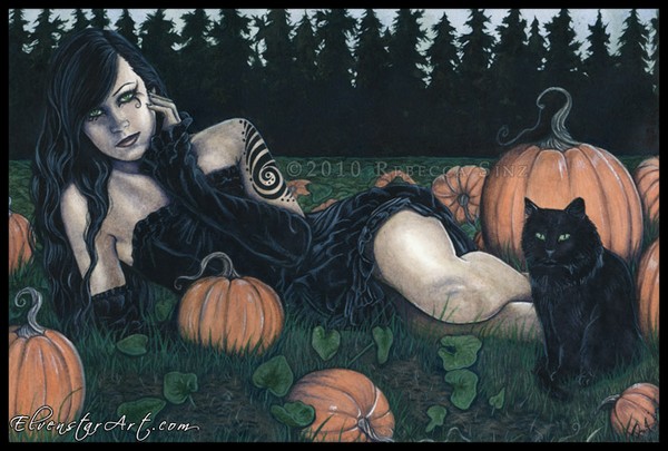 Pumpkin Patch