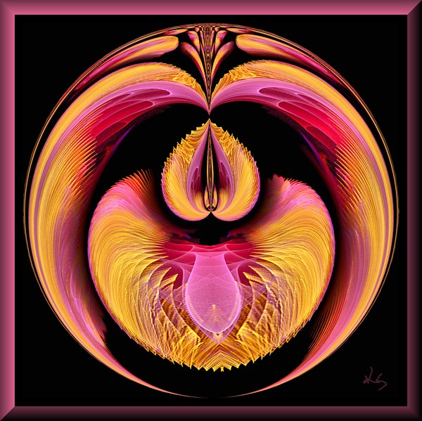 The seed