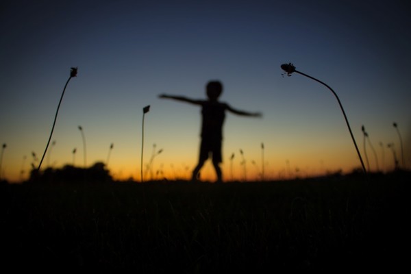 Sunset Pixie (11)
