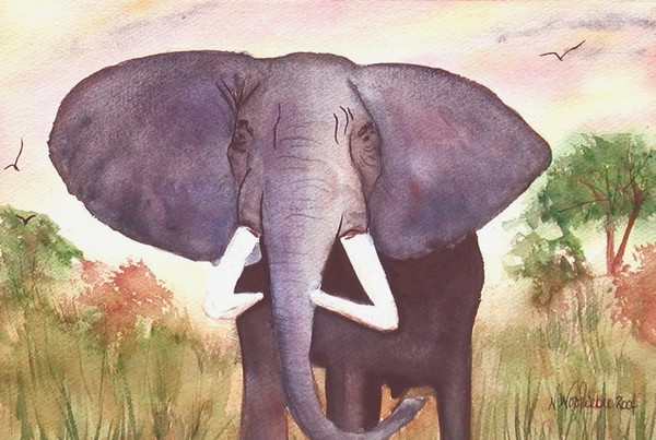 Out Of Africa