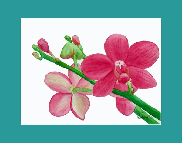 Powerfully Pink