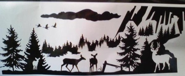 wildlife1