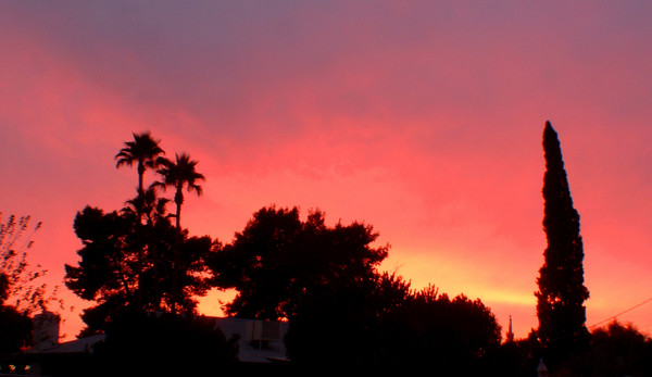 Sunset in da Hood