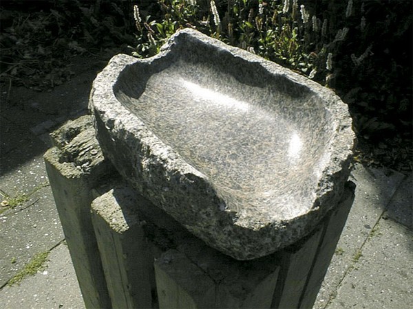 Oyster shell