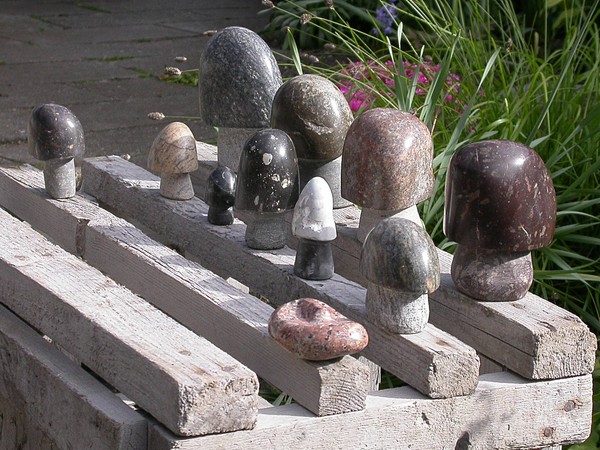 mushrooms