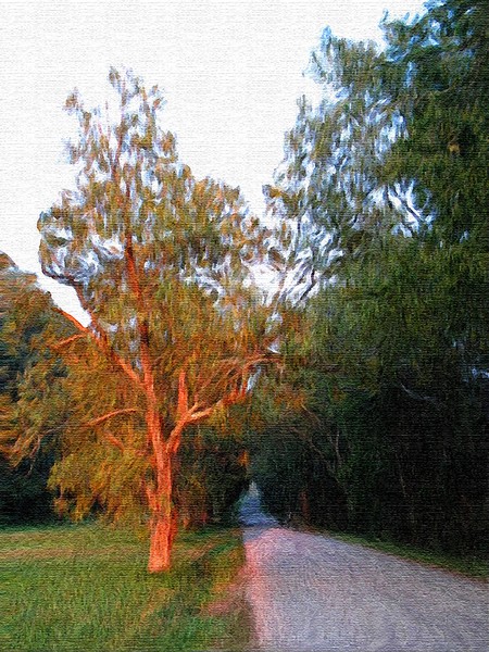 The Color of Dusk