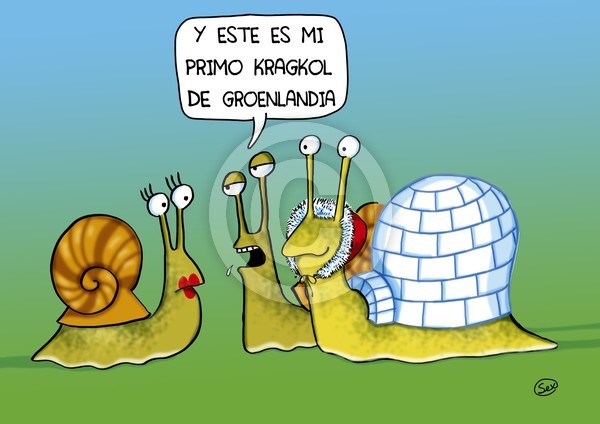 caracol Groenlandia