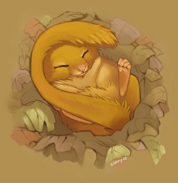 Warm and Cozy