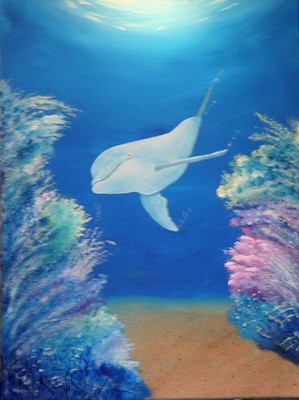 Dolphin at Play