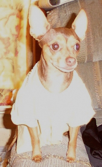 Baby Doll