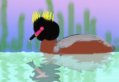 O513 Horned Grebe
