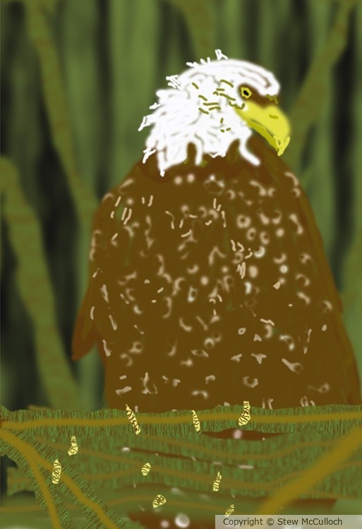 Angry Eagle  P266