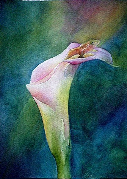 Spring Peeper