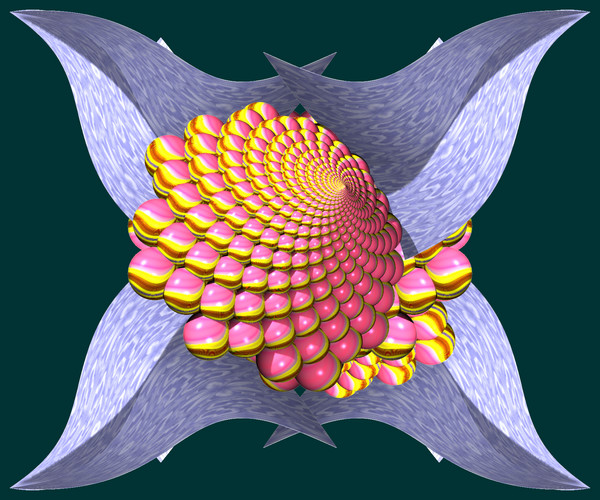 My flower
