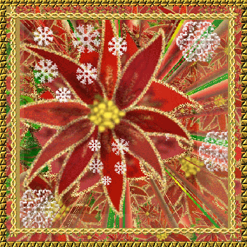 Vector Poinsetta
