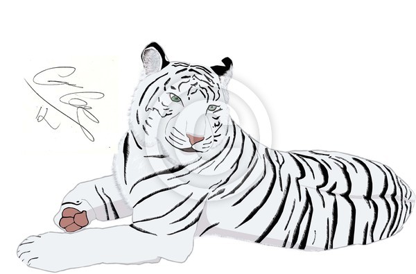 My Tiger With Out Background