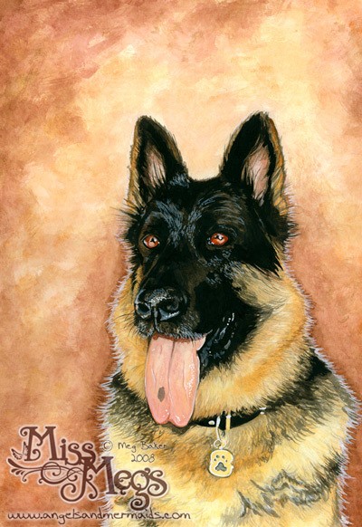 Rip - German Shepherd Dog