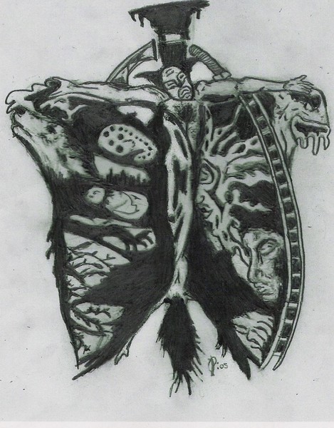 lungs
