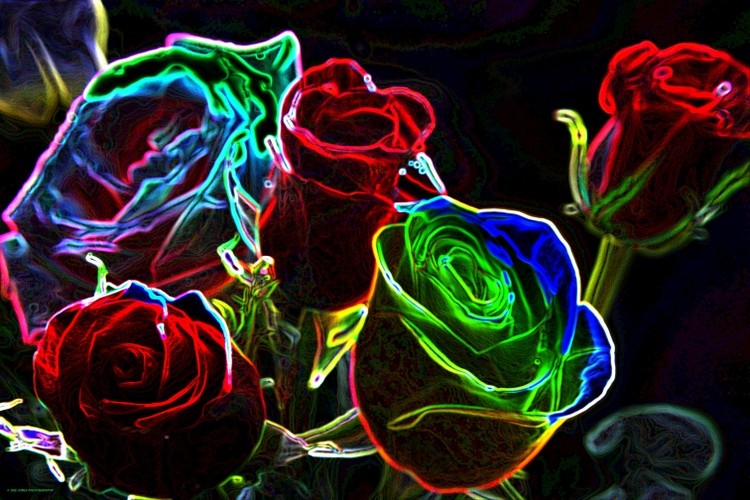 Transforming Beauty