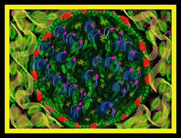 Garden of Eden