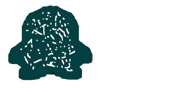 What do you see