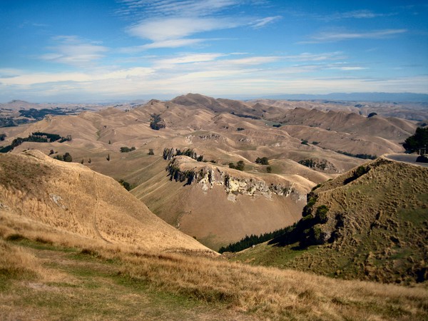 View from Te Mata