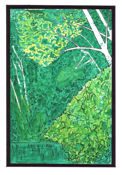 Nature Scene in Ink