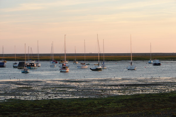 Alone in the Habour