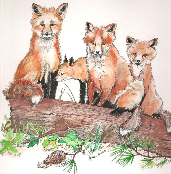 Fox Babies
