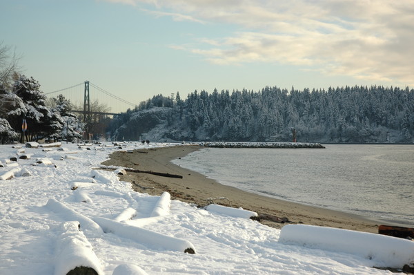 Winter Beach