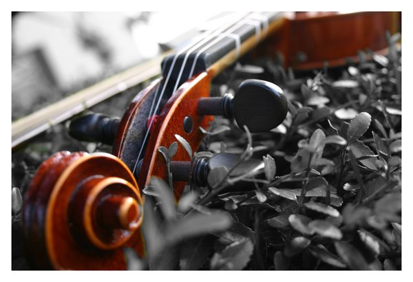 Violin In A Sea Of Grey