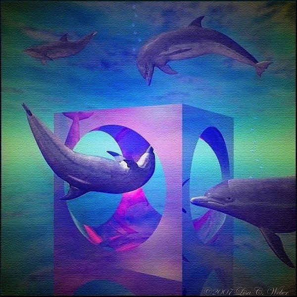 Dolpherian Playgrounds