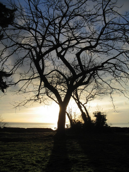 Sandy cove sunset