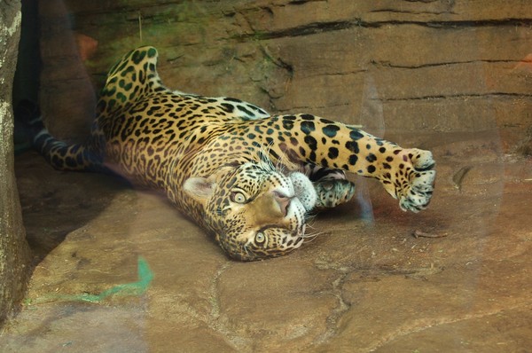 Stretching .......