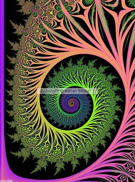 Maths & Life: a real living link